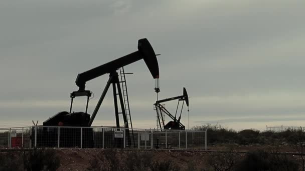 Pumpjacks Extracting Oil Oilfield Patagonia Argentina — Vídeos de Stock