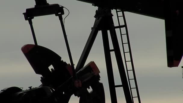Pumpjack Operando Pozo Petróleo Cuenca Neuquén Norte Patagonia Argentina — Vídeos de Stock