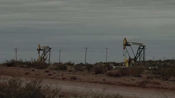 Pumpjacks Extract Oil Oilfield Neuquen Basin Northern Patagonia Argentina — Wideo stockowe