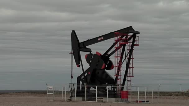 Pumpjack Operating Oil Well Neuquen Basin Northern Patagonia Argentina — 图库视频影像