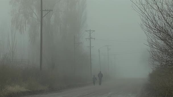 Чоловік Його Дочка Йдуть Сільською Дорогою Ранковому Тумані Поблизу Міста — стокове відео