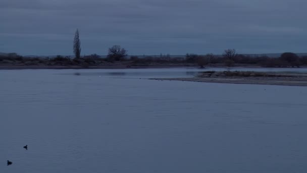 Neuquen River Sunset Neuquen Province Patagonia Argentina South America — Stock Video