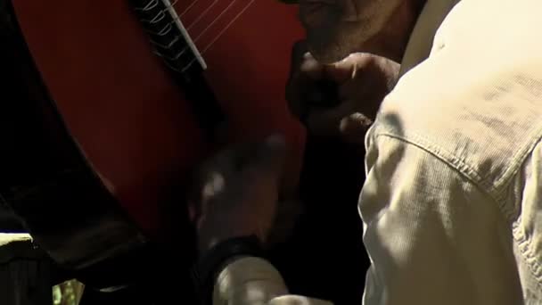 Elderly Man Striking Body Guitar While Another Man Playing Neuquen — Vídeo de Stock