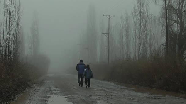 Man His Daughter Walking Rural Road Morning Fog Varvarco Neuquen — Vídeo de Stock