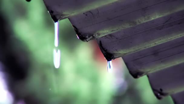 Krople Deszczu Spadające Dachu Deszcz Falistym Żelaznym Dachu Zamknij Się — Wideo stockowe