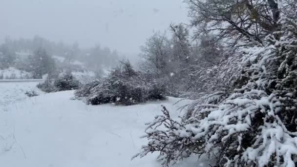 Снежная Буря Лесу Дороги Семи Озер Испанском Camino Los Fette — стоковое видео