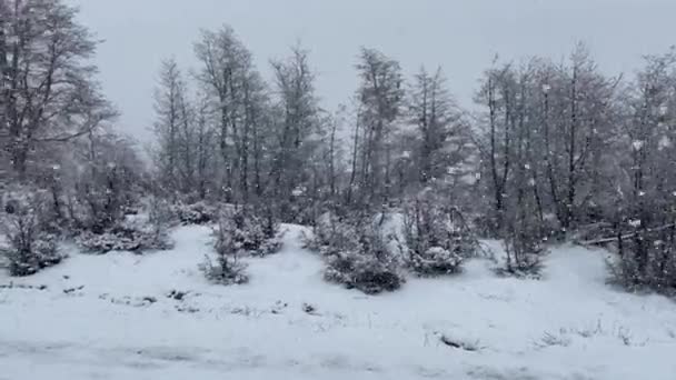 Heavy Snowfall Forest Road Seven Lakes Spanish Camino Los Siete — Stock Video