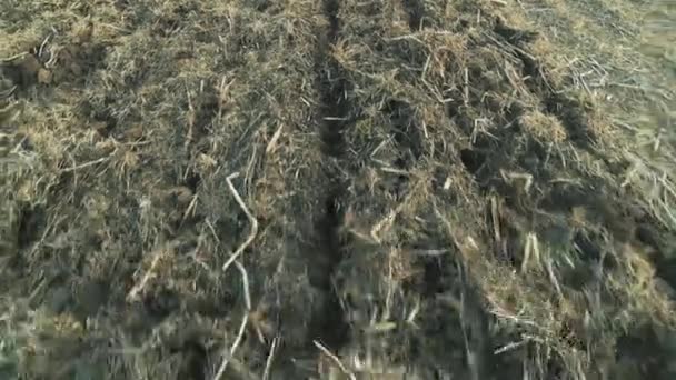 农夫用拖拉机犁田 拖动哈罗在田里犁沟 靠近点4K Resolution — 图库视频影像