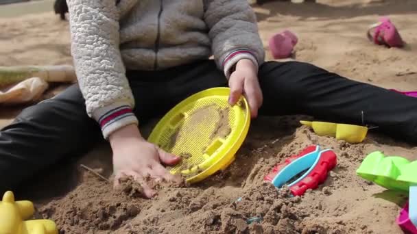Kum Havuzunda Oynayan Küçük Kız Kum Oyuncaklarıyla Oynayan Küçük Çocuk — Stok video