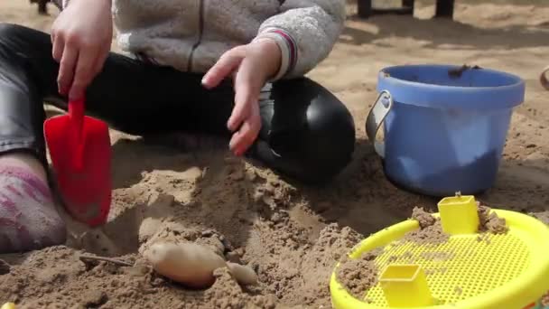 Meisje Speelt Een Zandbak Meisje Met Zand Speelgoed Sluit Maar — Stockvideo