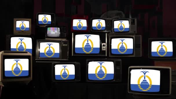 オーランド フロリダ ヴィンテージテレビの旗 4K解像度 — ストック動画