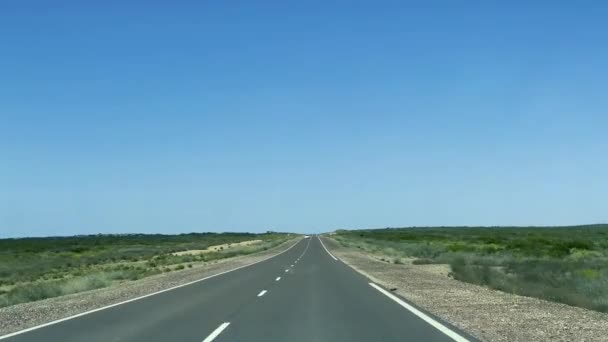 Subjektive Sicht Eines Autos Auf Der Straße Der Landschaft Argentiniens — Stockvideo