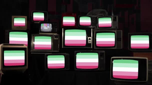 Abrosexual Pride Flag和Vintage Televisions Resolution — 图库视频影像