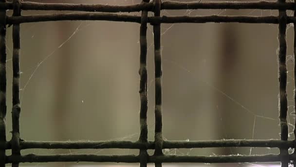 古い刑務所の廊下で錆びた金属フェンスのクモの巣 閉めろ 4K解像度 — ストック動画
