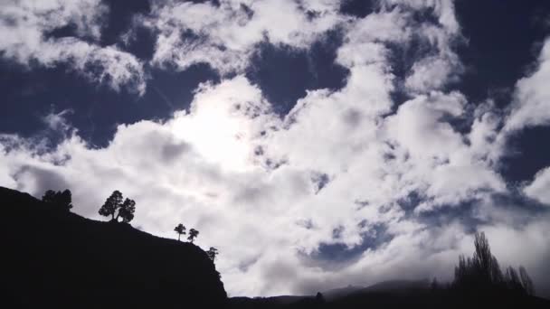 位于阿根廷巴塔哥尼亚的一座山丘上的树木轮廓与蓝天相对照 Resolution — 图库视频影像