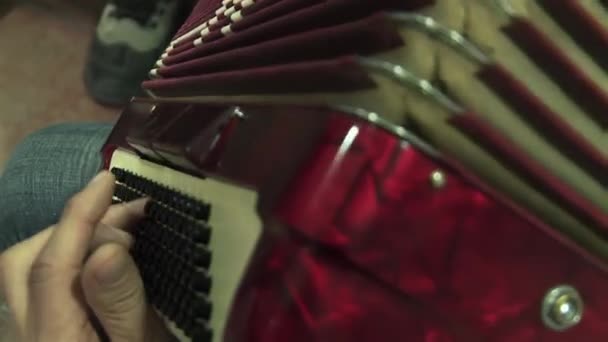 Mann Spielt Akkordeon Während Mit Seiner Traditionellen Argentinischen Tango Band — Stockvideo