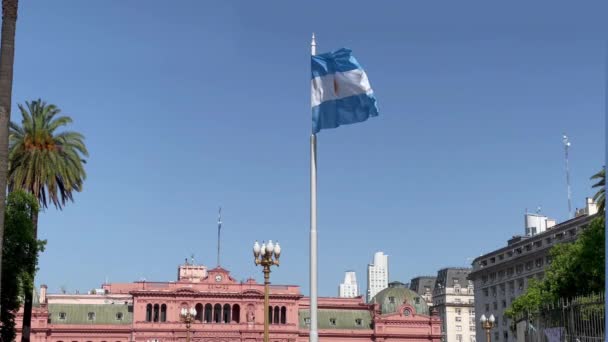 Arjantin Bayrağı Plaza Mayo Ngilizce May Square Casa Rosada Ngilizce — Stok video