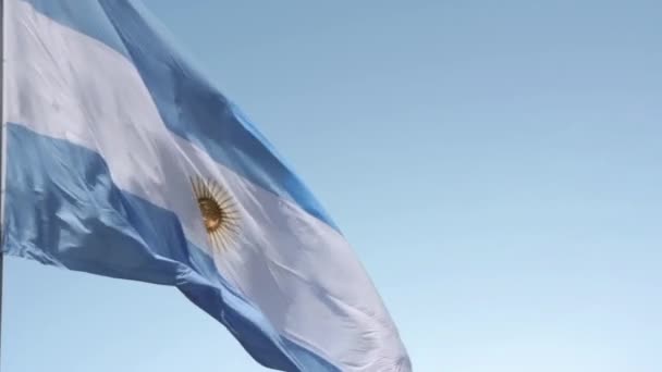 Bandera Argentina Trofeo Mundial Fútbol Fifa Resolución — Vídeo de stock