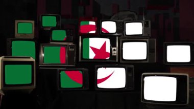 Vintage Televisions 'da Cezayir bayrağı. 4K Çözünürlüğü.