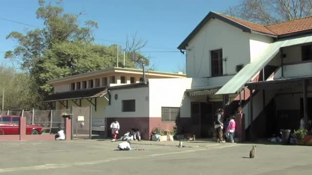 Dzieci Przedszkolu Patio Szkoły Publicznej Buenos Aires Argentyna — Wideo stockowe
