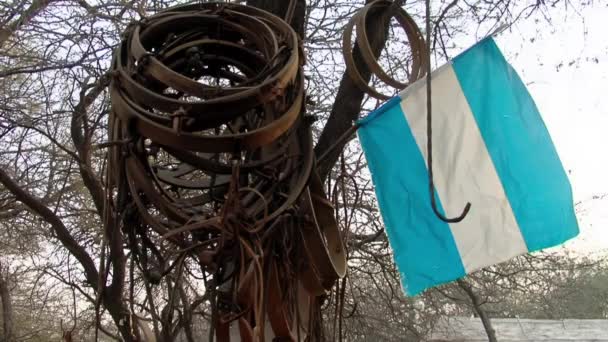 Trumhakar Och Argentinsk Flagga Hängande Från Ett Träd Trummakares Uteplats — Stockvideo