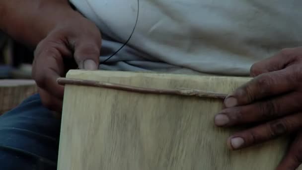 Drum Maker Making Bombo Leguero Argentine Drum Made Wood Animal — Stock Video