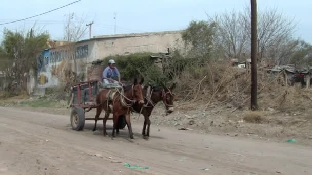 アルゼンチン サンティアゴデルエステロでカートに乗る男 — ストック動画