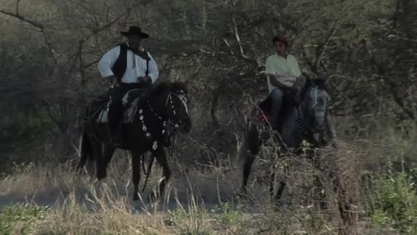 Ένας Γκάουτσο Και Ένας Νεαρός Που Ιππεύει Άλογα Στο Σαντιάγο — Αρχείο Βίντεο