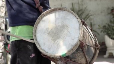 Eller Bombo Leguero 'yu Sopalarla Dövüyor, Kuzey Arjantin Yakın Çekim