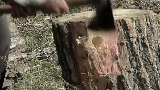 Mann Der Der Provinz Santiago Del Estero Holz Mit Der — Stockvideo