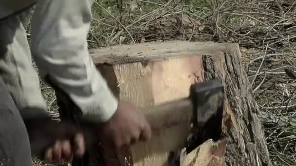 민속에서 사용되는 아르헨티나 Bombo Legero를 만드는 Axe로 트렁크를 자르는 클로즈업 — 비디오