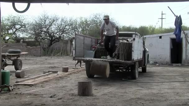 アルゼンチンのサンティアゴデルエステロのトラックから木製のログをアンロードする男 — ストック動画