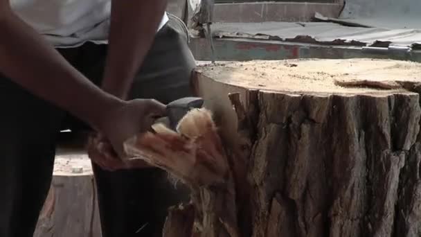 Mann Schneidet Mit Axt Einen Baumstamm Während Eine Bombo Legero — Stockvideo