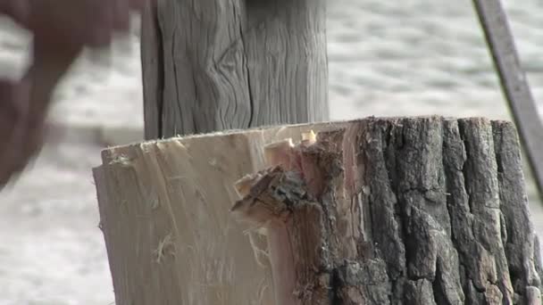 地元のフォークロアで使用されている ボンボレジェロ を作っている間 男はAxeで木を切ります クローズアップ — ストック動画