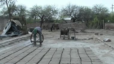 Santiago del Estero Eyaleti, Arjantin 'de Dünya ve Organik Malzemelerden Yapılan Islak Çamur Tuğlaları (Adobe veya Çamur Tuğlaları). 