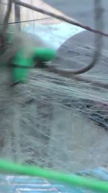 Valparaso yakınlarındaki bir teknede Eldiven Eldivenli Balıkçı. Dikey 4K