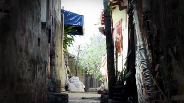 La Chacarita, Asuncion, Paraguay 'daki Narrow Sokağı' nda Kokuları Araştıran Sokak Köpeği - 4K Çözünürlük