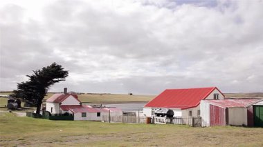 Goose Green, East Falkland, Falkland Adaları (Malvinas Adaları), Güney Atlantik Okyanusu 'ndaki evler. 4K Çözünürlüğü.