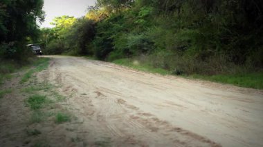 Yeşil ve Ağaçlarla çevrili Kırsal Toprak Yoldaki Askeri Kamyonlar - 4K Çözünürlük