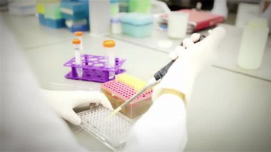 Biyokimya: Bilimadamı, bir deney sırasında Pipette Tepsisi 'nin kuyusuna bir örnek yerleştiriyor. Yakın plan. 4K Çözünürlüğü.