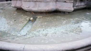 Neptün Çeşmesi (İtalyanca: Fontana del Nettuno) Piazza Navona 'nın kuzey ucunda yer almaktadır.. 