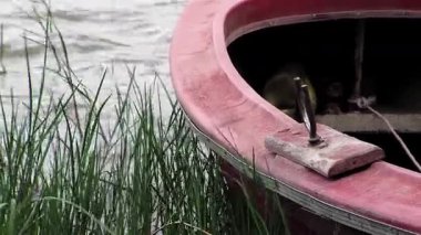 Kıyıdaki Sazlık Gölü 'ne demir atmış bir kayık. Yakın plan. 4K Çözünürlüğü.