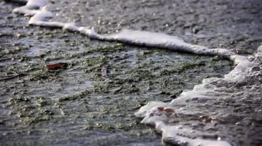 Mondello, Sicilya, İtalya 'daki Rocky Beach Surface' e yakın çekim. 