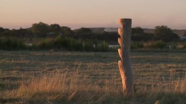 Don Tomas Gölünde ağaç oyması, Santa Rosa, La Pampa, Arjantin.  