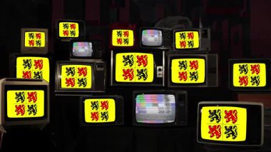 Belçika 'da bulunan Hainaut Eyaleti Bayrağı, bir Vintage Televisions Yığını' nda sergilendi. 4K Çözünürlüğü.
