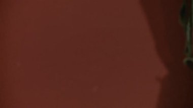 Arjantin 'de bir Kırsal Ev Duvarına Eski Düğme Akordiyonu monte edildi. Kapat..  