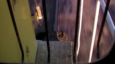 Lokomotif Footboard ve tırabzanlar hareket halinde, Patagonya, Arjantin - Kapat