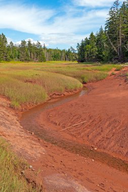 Nova Scotia 'daki Teh Körfezi' ndeki Low Tide 'da Sahil Estuary