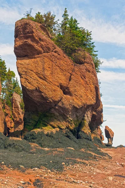 Dramatischer Seegang Bei Ebbe Den Hopewell Rocks New Brunswick — Stockfoto