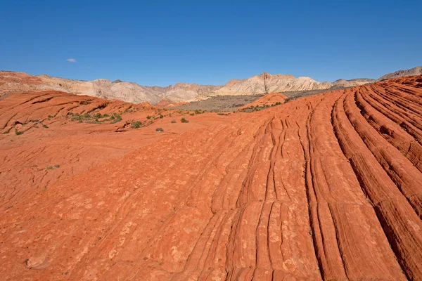 Arenito Vermelho Branco Deserto Parque Estadual Snow Canyon Utah — Fotografia de Stock
